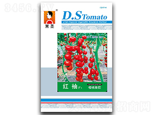 �t��F1-���ѷN��-�|ʥ