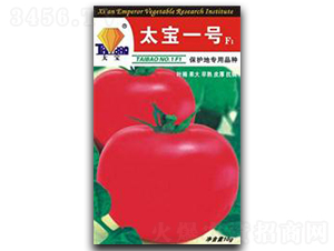 ̫��һ̖-���ѷN��-�|ʥ