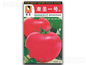 �|ʥһ̖-���ѷN��-�|ʥ