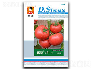 �|ʥ241-���ѷN��-�|ʥ