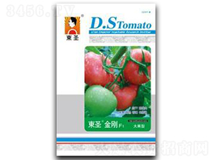 �|ʥ����-���ѷN��-�|ʥ