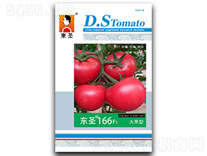 �|ʥ166-���ѷN��-�|ʥ