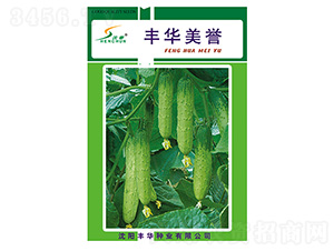 �S�A���u(y��)-�S�ϷN��-�S�A�N�I(y��)