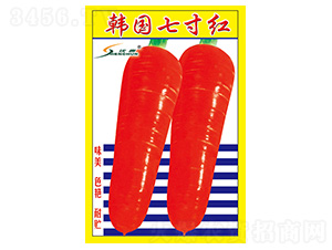 �n���ߴ�t-�}���N��-�S�A�N�I(y��)