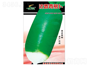 �����}��-�}���N��-�S�A�N�I(y��)