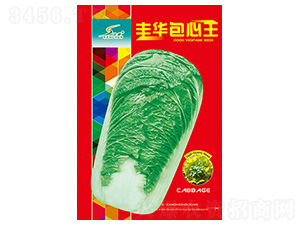 �S�A������-�ײ˷N��-�S�A�N�I(y��)