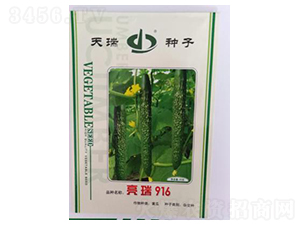 ����916-�S�ϷN��-����N��