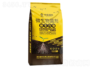 �����f��΢�������-�в�ʢ��-ʢ������