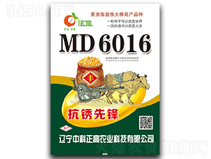 MD6016�����P���h��-���׷N��-�п�����