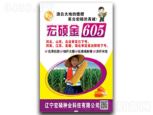 ��T��605-���׷N��-�п�����