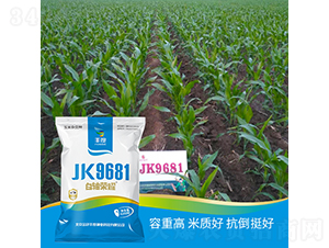 JK9681-���׷N��-�S�ȸ߿�