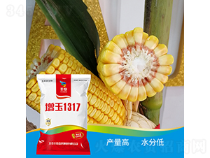 ����1317-���׷N��-�S�ȸ߿�