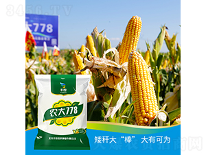 �r(n��ng)��778-���׷N��-�S�ȸ߿�