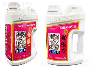 發(fā)根力-愛(ài)福恩