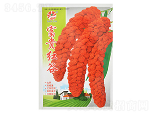 ���F�t��-���ӷN��