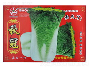 ���-��˷N��