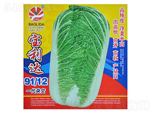 �����_91��12-��˷N��