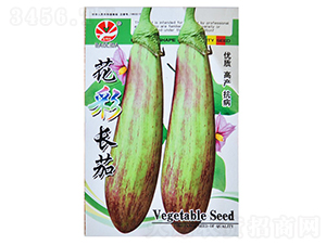 �����L��-���ӷN��