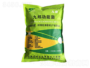 ����ʏͺϹ��ܾ�-��΢-�Ű�����