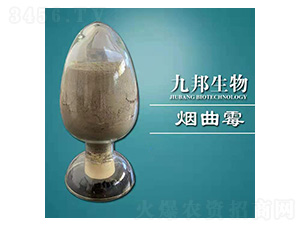 ����ù-�Ű�����