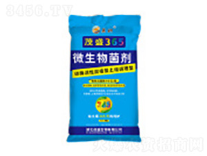 ΢�������-ïʢ365-ïʢ����