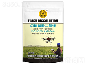 �W����������-��¹�ʘI(y��)