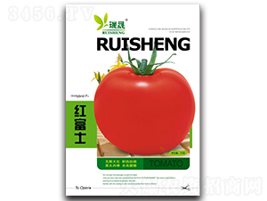 �t��ʿF1-���ѷN��-����