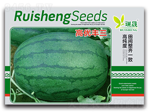 �߃�(y��u)�S��-���ϷN��-����