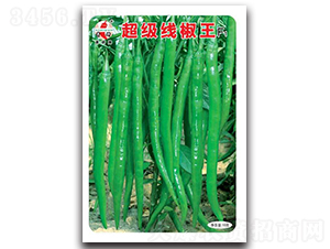 ����������F1-�����N��-ʒ�зN�I(y��)