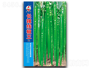 �L��������-�����N��-ʒ�зN�I(y��)