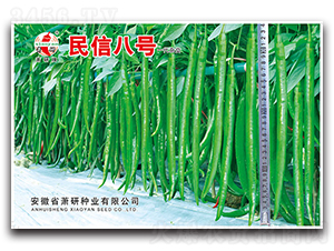 ���Ű�̖-�����N��-ʒ�зN�I(y��)