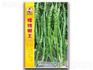 �ݾ�����-�����N��-ʒ�зN�I(y��)