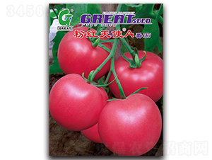 粉紅天使A-番茄種子-廣大