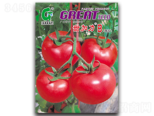 �����B-���ѷN��-�V��