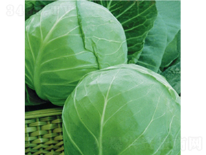 ���m�G��9̖-���{(l��n)�N��-��Ʒ�r(n��ng)�I(y��)