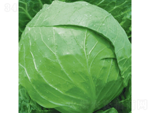 ���m�G��7̖-���{�N��-��Ʒ�r(n��ng)�I(y��)