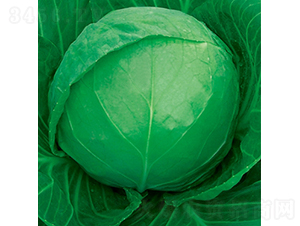 ��ԭ��-���{(l��n)�N��-��Ʒ�r(n��ng)�I(y��)