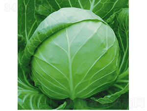 �Ї�(gu��)ϣ��-���{(l��n)�N��-��Ʒ�r(n��ng)�I(y��)