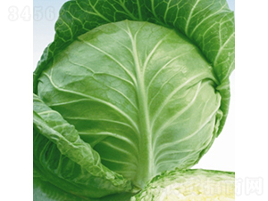 ���m�G��-���{�N��-��Ʒ�r�I(y��)