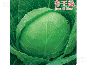 �����G-���{(l��n)�N��-��Ʒ�r(n��ng)�I(y��)