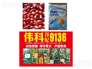 ���׷N��--����9136-�Є�(chu��ng)�N�I(y��)