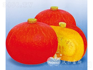 �����|��F1���M�ڃ�(y��u)�|(zh��)����tƤ�Ϲϣ�-�ϹϷN��-�֠���˹