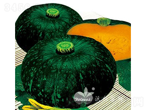 ����һ̖F1����Ʒ�|(zh��)�߮a(ch��n)���GƤ�A�Ϲϣ�-�ϹϷN��-�֠���˹