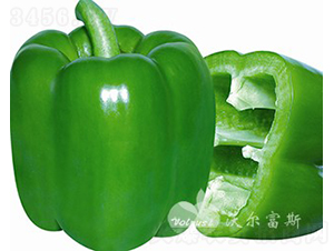 ��ӯһ̖(h��o)F1�����ﱣ�o(h��)�ظ߮a(ch��n)����G�𽷣�-�𽷷N��-�֠���˹