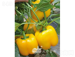 �S��F1���紺�����Ӽ�Խ���߮a(ch��n)�Sɫ�𽷣�-�𽷷N��-�֠���˹