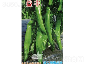 ���SF1���M(j��n)���������������-�����N��-�֠���˹