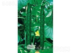 ����(y��u)��̖(h��o)F1��Խ�����紺�߮a(ch��n)�ͺ��S�ϣ�-�S�ϷN��-�֠���˹