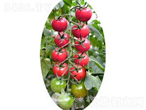 ��ؐ��101F1���߮a(ch��n)�۹�С���ѣ�-���ѷN��-�֠���˹