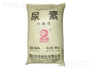 ���A�����w������-¡���r(n��ng)�Y