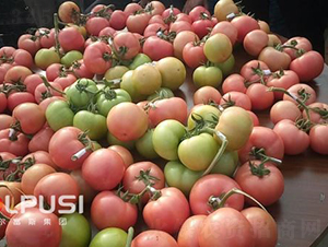 ���۾�̖F1����TY�۹����ѣ�-���ѷN��-�֠���˹